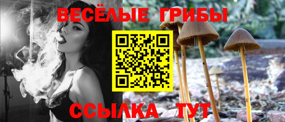 Псилоцибиновые грибы GOLDEN TEACHER Кумертау